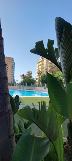 Elegante Alojamiento Con Piscina A 200 M Del Mar. Apartment Беналмадена Екстериор снимка